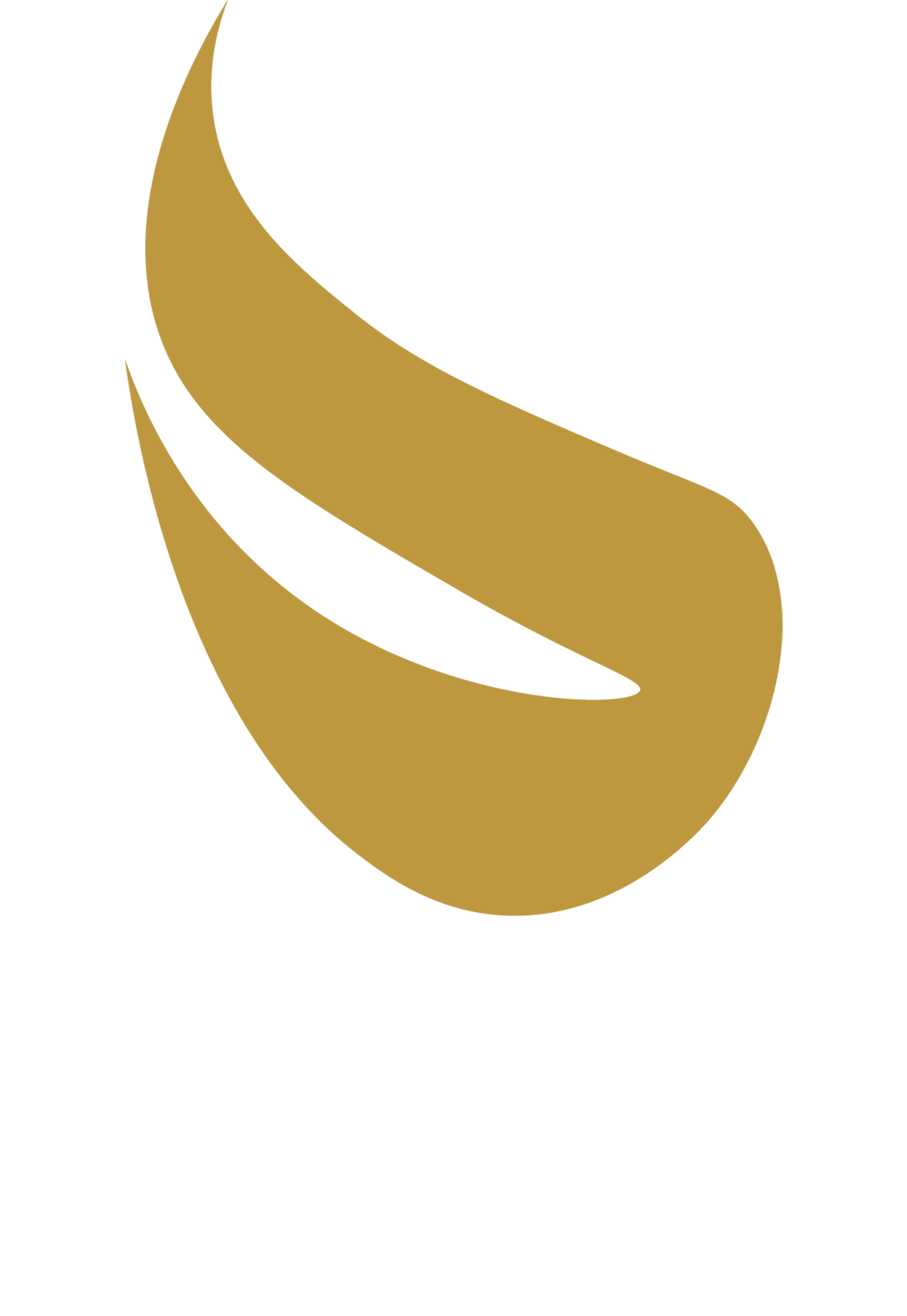 SINA Logo
